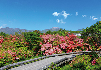 那須高原